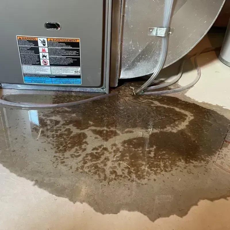 Appliance Leak Cleanup in Vernon, NY